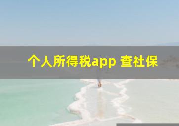 个人所得税app 查社保